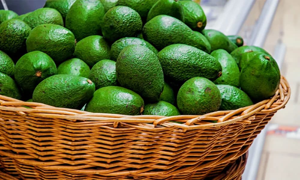 Avocado